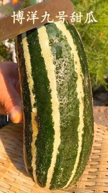 吃瓜的瓜是什么瓜,探寻“吃瓜”背后的瓜文化