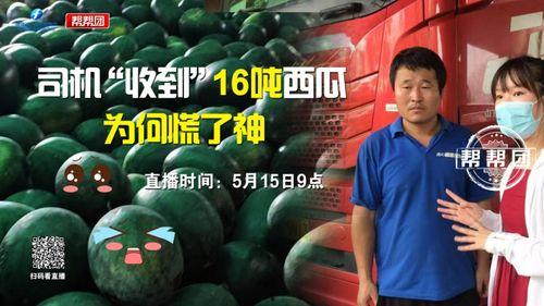 今日吃瓜播报最新