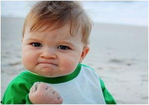 嘎哈吃瓜,揭秘娱乐圈幕后故事