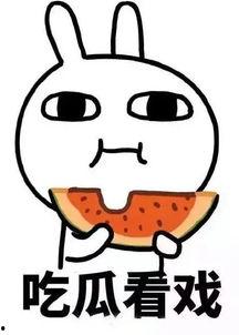 热点吃瓜点评文案,揭秘娱乐圈幕后真相，带你领略娱乐界的风云变幻