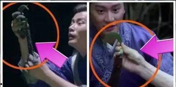 吃瓜群众的穿帮镜头小说,小说中的那些意外惊喜