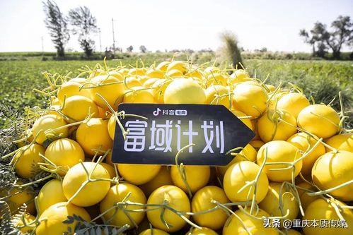 抖音西宁吃瓜,揭秘当地美食背后的故事