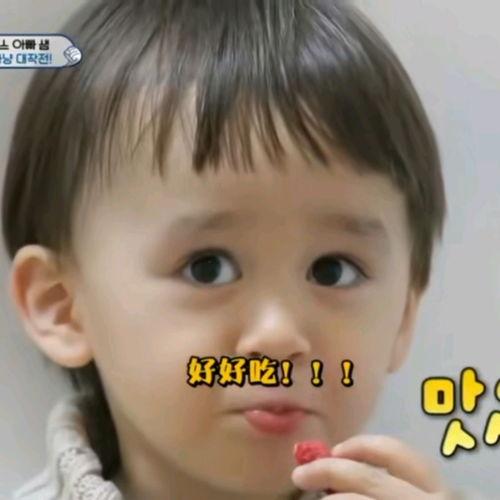 本特利吃瓜表情,网络红人的魅力瞬间