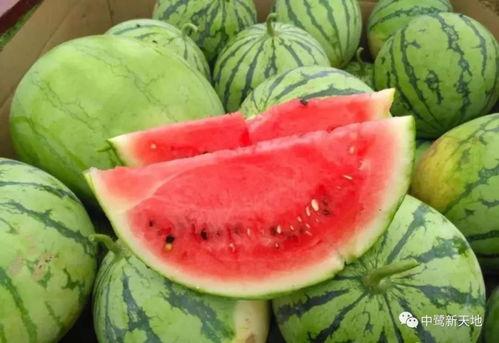 艺术分享家吃瓜,揭秘娱乐圈那些不为人知的幕后故事