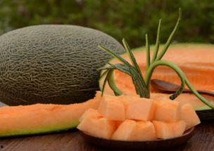 吃带鱼后多久吃哈密瓜,食用时间间隔的饮食小贴士