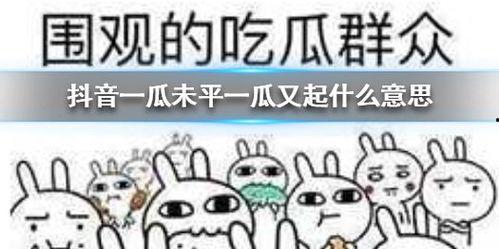 抖音暴躁吃瓜,暴躁吃瓜，揭秘网络热点背后的真相