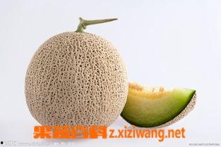 孕期可以吃蜜瓜么,美味与健康的双重享受